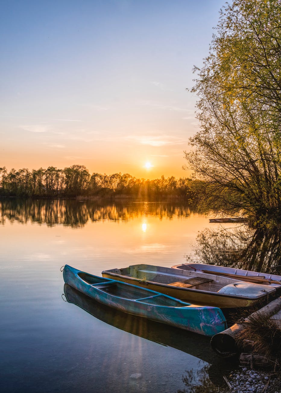 three brown canoes under golden hour